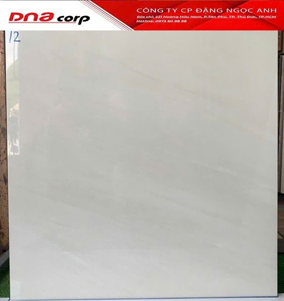  80*80 883012 Viglacera (1.92m/3v/th) 