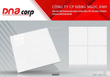  60*60 QH6007 Gạch lát nền Pancera (T=5V=1.8M) 