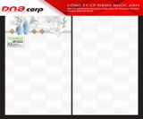  25*40 M2522 Gạch ốp tường thân Tomira (T=10V=1M) 