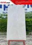  60*120 PW302 Gạch khổ lớn (1,44m/2v/th) 