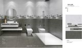  30*60 VY-M36016 Gạch ốp tường Điểm men mờ 