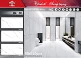  60*120 TSA1806 Gạch lát nền bóng kiếng 3 face ( T=2V=1.44M ) 