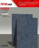  Gạch lát nền Đá LK4605 Mikado 40*60 (T5v/1.2m) 