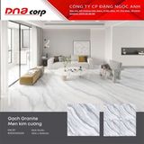  100x100 RGD1010002S2 Gạch khổ lớn 