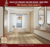  30*30 RS33006 Gạch lát nền 