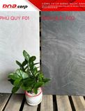  30*60 Phú Quý F01 Gạch lát nền đá mờ ( T=8V=1.44M ) 