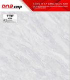 40*40 TTP4206 Gạch lát nền ( T=6V=0.96M ) 