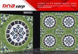  50*50 SBBV5501 Gạch lát nền sân vườn VNM 