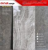  60*120 PP172 Gạch ốp lát cao cấp bóng vi tinh Apodio 