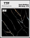  60*60 TTP611 Gạch lát nền men bóng (T=5V=1.8M) 