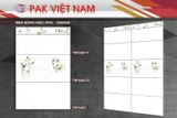  men bóng thân vân mây 30*60 pak th9v/1.62met loại 1 36801dna 
