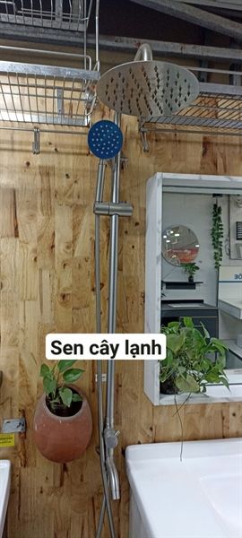  cây sen lạnh sus304 caryroyal CA120 mờ (bát tròn) 