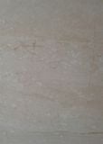  80*80 BNC80-055 QA 