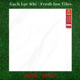  60*60 66888 Gạch lát nền CN lọc không khí Prime 