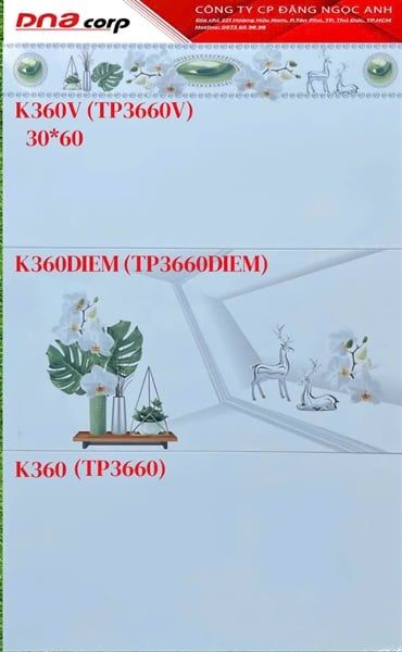  30*60 K360 Gạch ốp tường Thân (1.44m/8v/th) 
