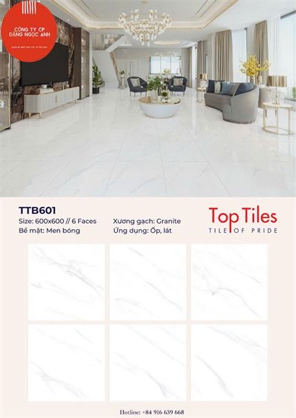  60*60 TTB601 Gạch đá bóng kiếng 6 face 