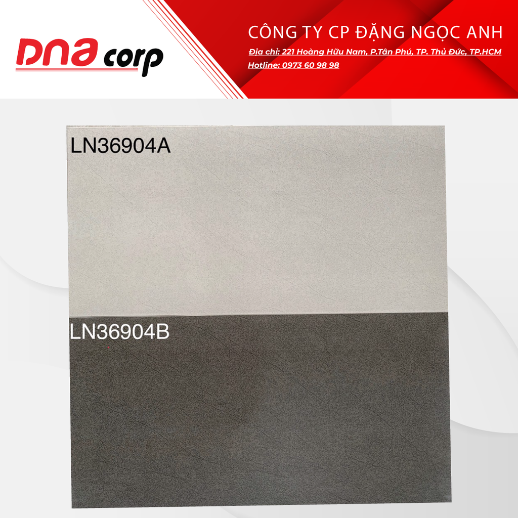  Gạch Ốp Lát Kis LN36904 
