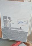  30x60 ST8241 gạch ốp tường màu nhạt (1.44m/8v/th) 