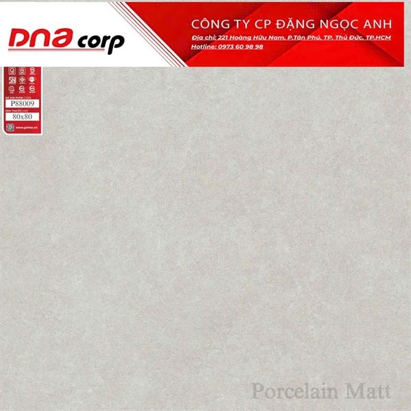  80*80 P88009 Gạch lát nền đá mờ Prime 