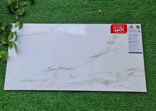  4080cararas006-H+ đồng tâm bóng kiếng 