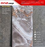  60*120 PP607 Gạch ốp lát cao cấp bóng vi tinh Apodio 