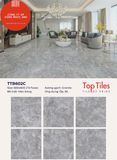  60*60 TTB602C Gạch đá bóng kiếng 6 face 