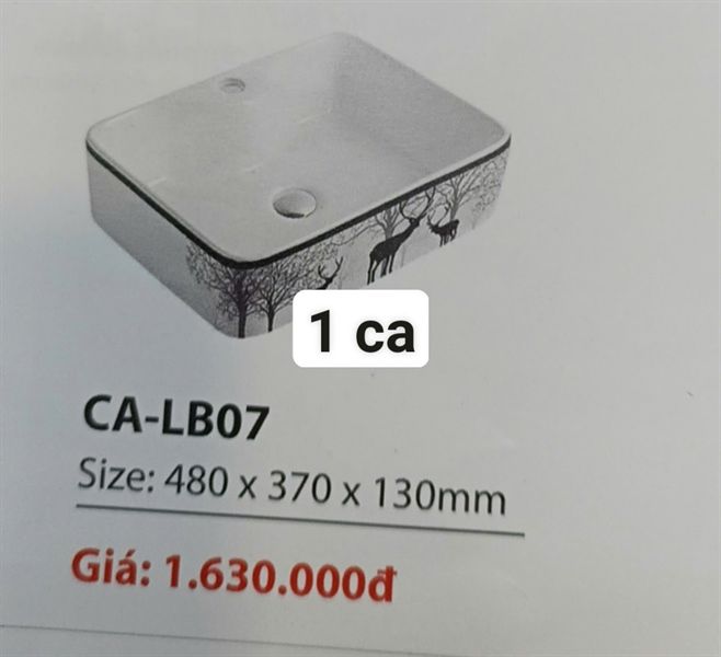  lavabo đặt bàn,treo tường 410*410*150 CA-lb07 đã giảm (2160k)yoshi hươu 