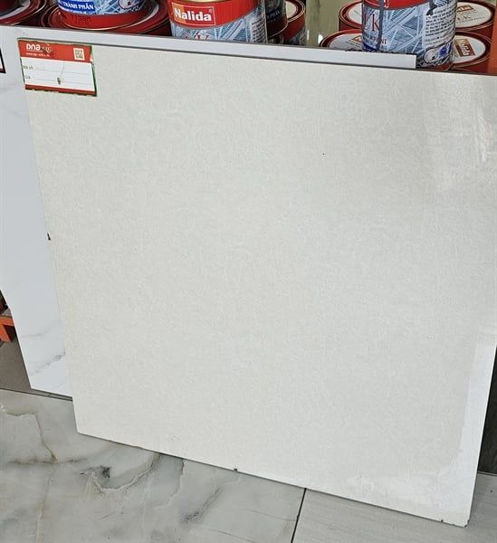  60*60 8016 VITTO L1 TH/4V 