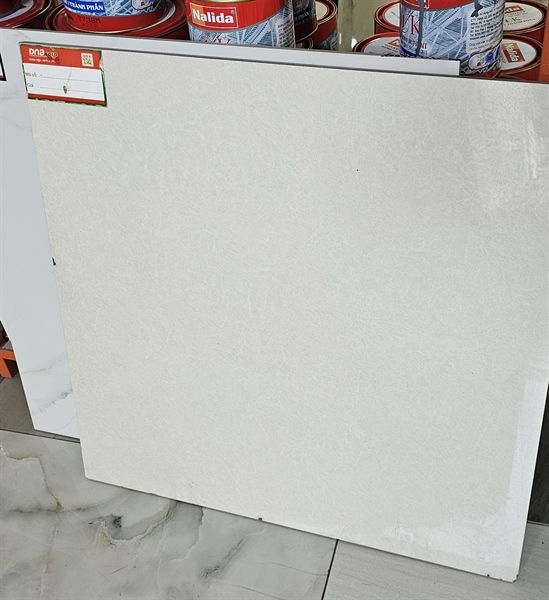  60*60 8016 VITTO L1 TH/4V 