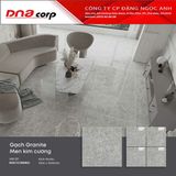  100x100 RGD1010008S3 Gạch khổ lớn 