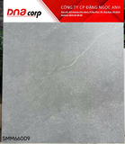  60x60 SMM66009 gạch lát nền, vân đá tự nhiên, Men matt mịn ( T4v=1.44m) 