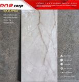  60*120 PP632 Gạch ốp lát cao cấp bóng vi tinh Apodio 
