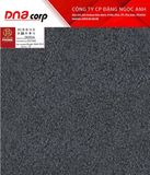  26004 Gạch lát nền đá nhám 60x60 Prime dày 2cm (T2v/0.72m) 