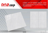  60*60 QH6008 Gạch lát nền Pancera (T=5V=1.8M) 