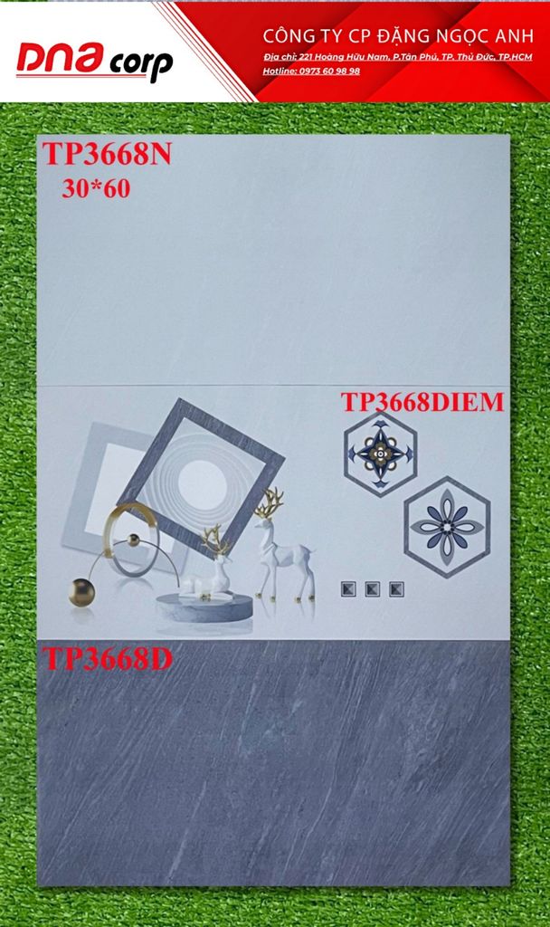 Gạch ốp tường 30*60 Ceradoni TP3668N-TP3668DIEM-TP3668D 