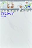  25*40 TP2006 Gạch ốp tường men bóng Thân (T=10V=1M) 
