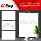  40x80 VDL4804 Gạch ốp tường thân CLAZA (T/4v/1.28/m) 