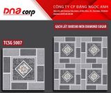  50*50 TCSG 5007 Gạch lát nền sân vườn men Sugar (T=6V=1.5M) 