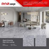  100x100 RGD1010001S2 Gạch khổ lớn 