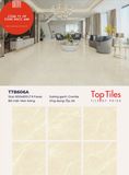  60*60 TTB606A Gạch đá bóng kiếng 6 face 