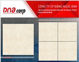  60*60 PAKSM603 Gạch đá bán sứ (th4v/1.44m) 