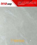  80*80 TTB806A Gạch lát nền đá bk (1.92m/3v/th) 