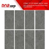  40*80 VY1-M48006 Gạch ốp lát đá mờ Việt Ý (T/5v/1.6m) 