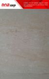  80*80 BNC80-055 QA 