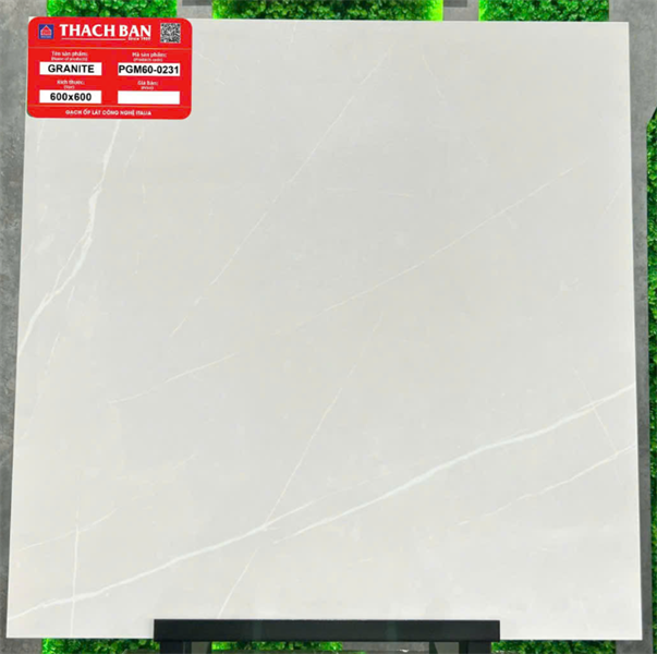  60*60 PGM60-0231 Gạch lát nền đá mờ Thạch Bàn 