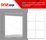  60*60 QH6006 Gạch lát nền Pancera (1.44m/4v/th) 