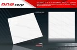  80*80 TDP69001 Gạch lát nền bóng kiếng Pancera 
