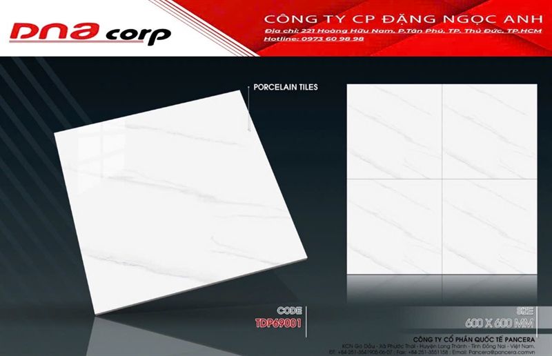  80*80 TDP69001 Gạch lát nền bóng kiếng Pancera 