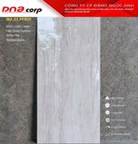  60*120 PP605 Gạch ốp lát cao cấp bóng vi tinh Apodio 