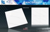  80*80 TDP69001 Gạch lát nền bóng kiếng Pancera 